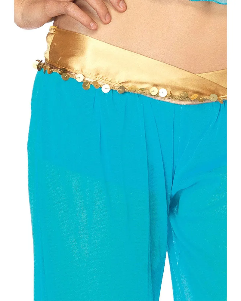 Arabian Beauty Womens Costume