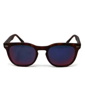 Brown Plastic Sunglasses