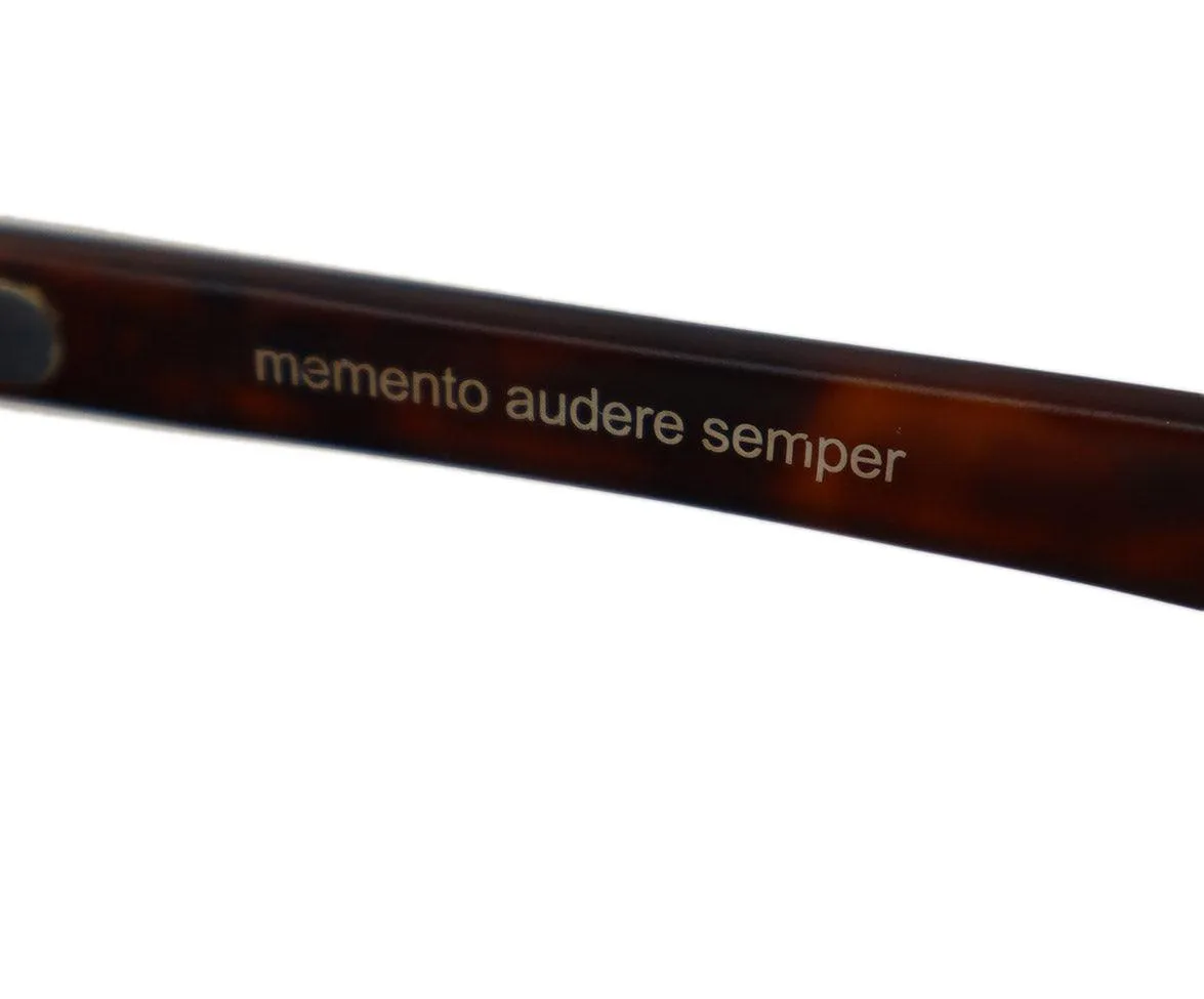 Brown Plastic Sunglasses