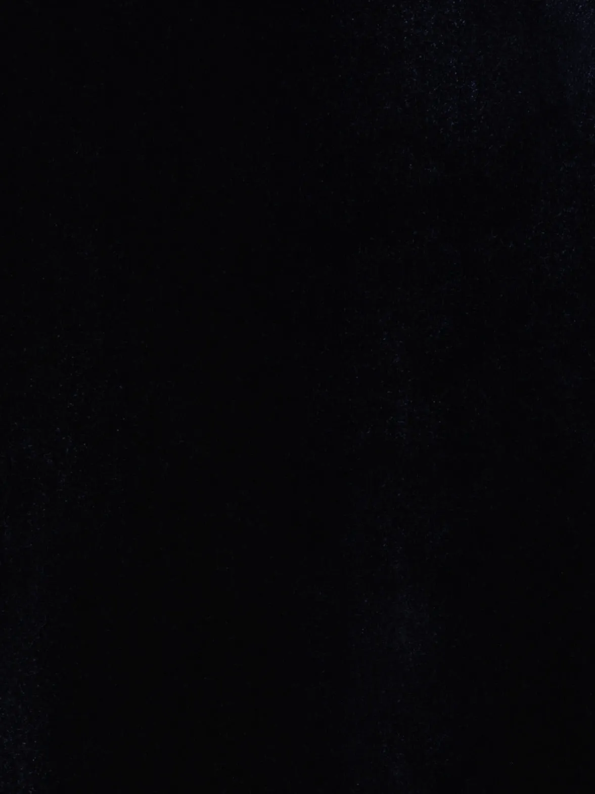 Fluid Velvet Gown 